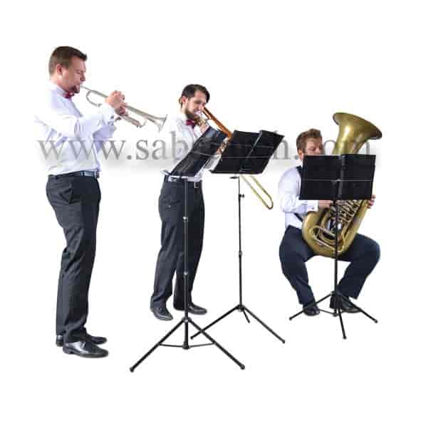 تصویر PNG نوازنده